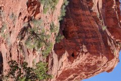 IMG_20230420_130426-.Medium