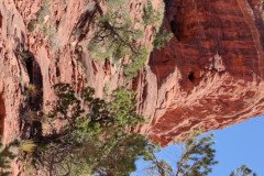 IMG_20230420_130426_1-.Medium