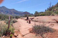 IMG_20230421_110057-.Medium