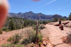 IMG_20230421_110117-.Medium