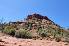 IMG_20230421_110128-.Medium