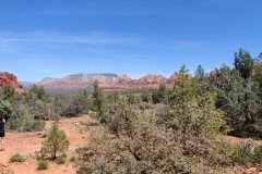 IMG_20230421_112131-.Medium