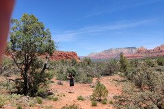 IMG_20230421_112135-.Medium