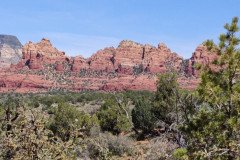 IMG_20230421_112141-.Medium