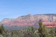 IMG_20230421_112142-.Medium