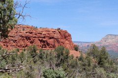 IMG_20230421_112145-.Medium