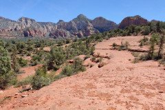 IMG_20230421_112631-.Medium