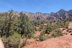 IMG_20230421_112633-.Medium