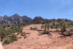 IMG_20230421_112636-.Medium