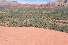 IMG_20230421_115202-.Medium