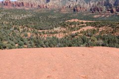 IMG_20230421_115207-.Medium