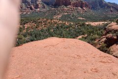 IMG_20230421_115215-.Medium