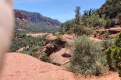 IMG_20230421_115217-.Medium