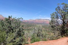 IMG_20230421_125946-.Medium