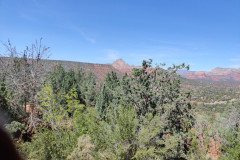 IMG_20230421_125949-.Medium