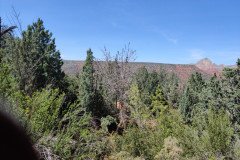IMG_20230421_125951-.Medium