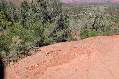 IMG_20230421_125954-.Medium