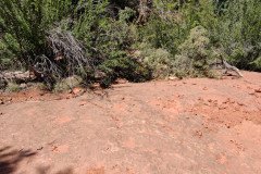 IMG_20230421_125956-.Medium