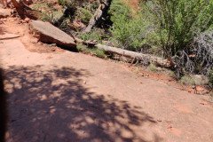 IMG_20230421_125958-.Medium