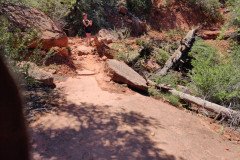 IMG_20230421_125959-.Medium