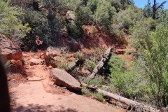 IMG_20230421_130001-.Medium