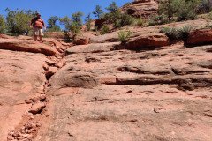 IMG_20230421_131522-.Medium