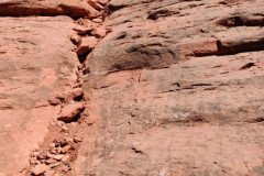 IMG_20230421_131612-.Medium