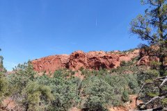 IMG_20230421_133617-.Medium