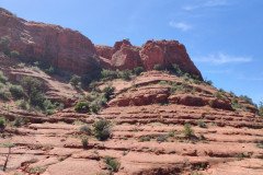 IMG_20230421_140816-.Medium