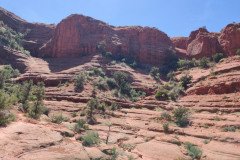 IMG_20230421_140819-.Medium