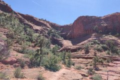 IMG_20230421_140821-.Medium