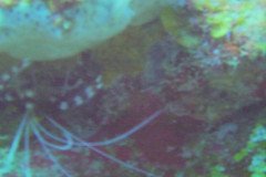 DSC00044-.Medium