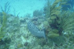 DSC00055-.Medium