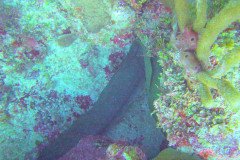 DSC00056-.Medium