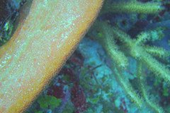 DSC00061-.Medium