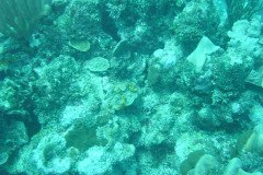 DSC00087-.Medium