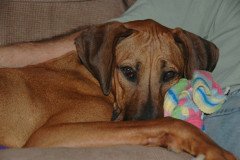 DSC_3743-.Medium