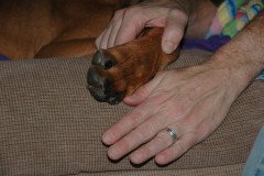 DSC_3745-.Medium