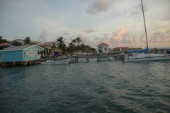 DSC_3752-.Medium