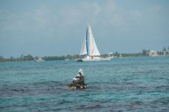 DSC_3761-.Medium