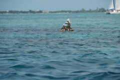 DSC_3762-.Medium