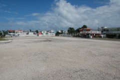 DSC_3767-.Medium
