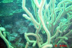 2DSC00035