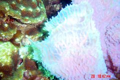 2DSC00046