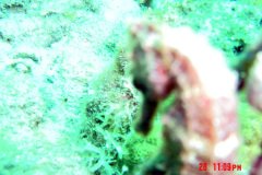 2DSC00053