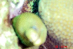 2DSC00061