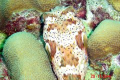 2DSC00089