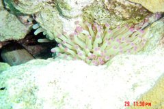 2DSC00091