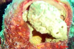 2DSC00103