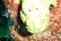 2DSC00104